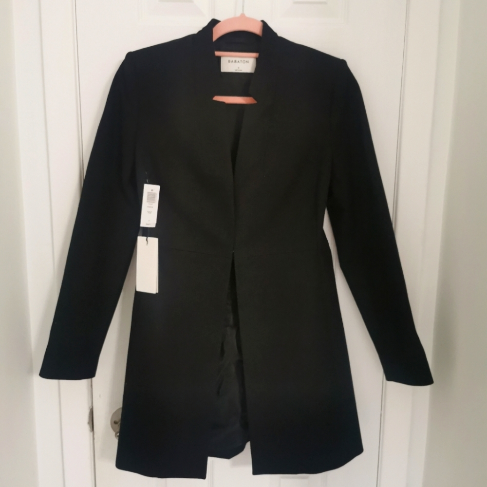 Aritzia Babaton Forte Blazer